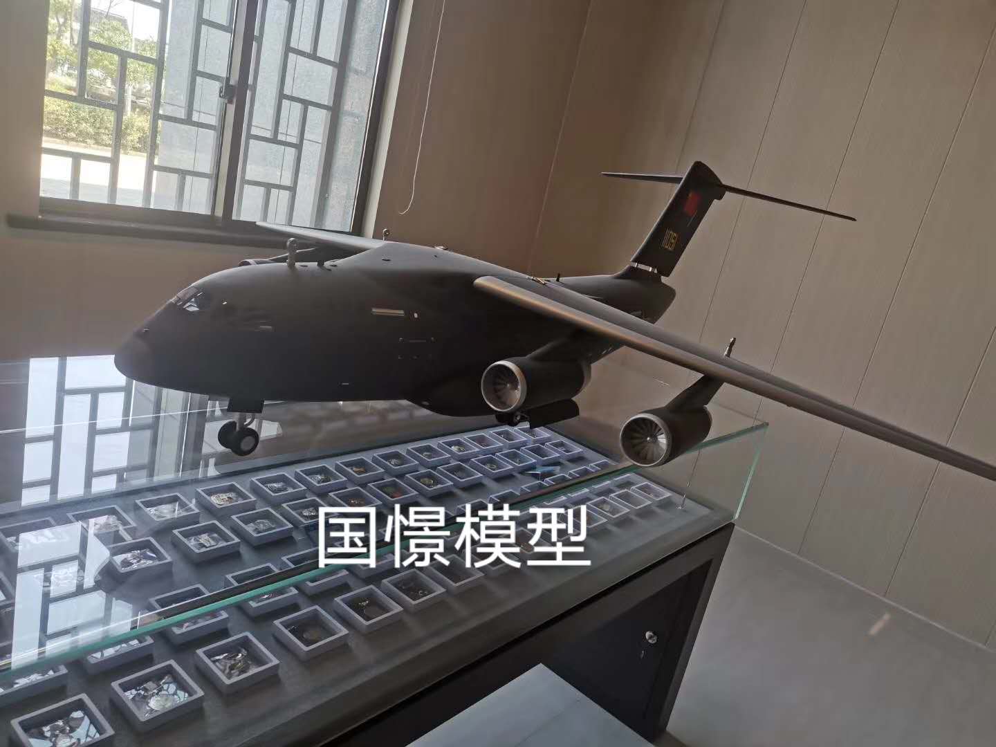 阜城县飞机模型