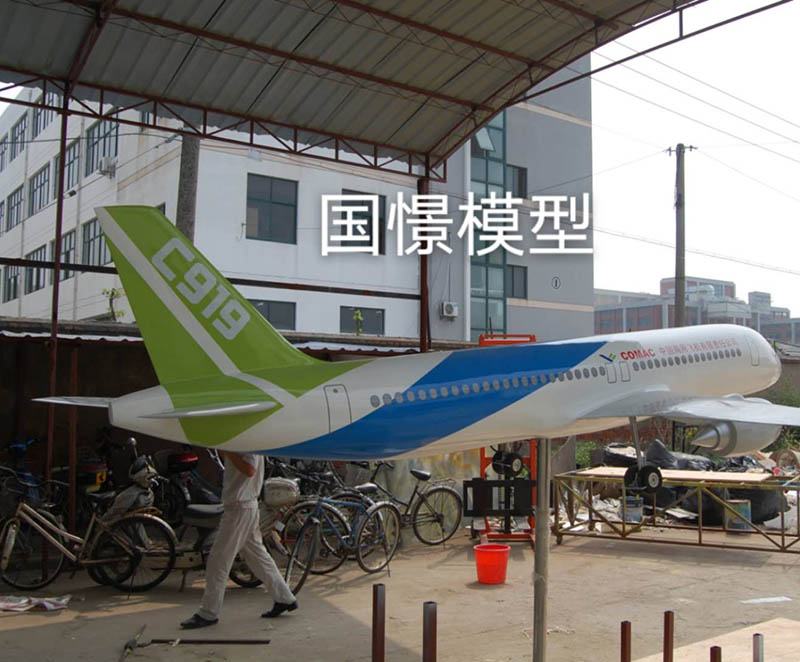 阜城县飞机模型