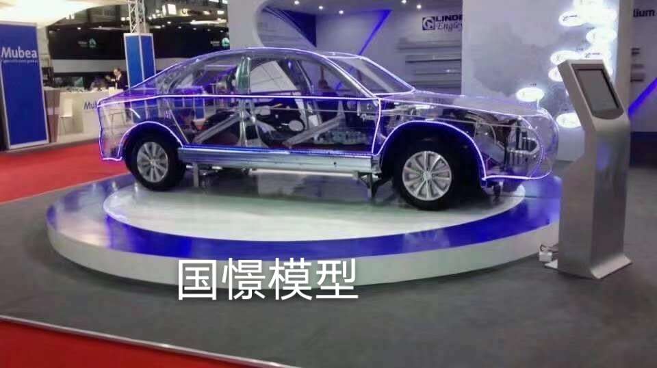 阜城县透明车模型